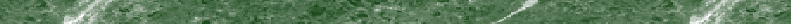 green banner - plain